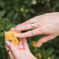 Best Gel Manicure in Canggu: Long-Lasting Color for Your Trip